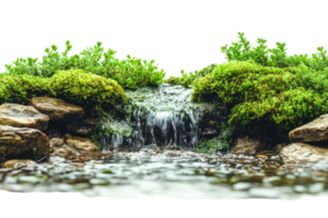 Water gently flows over rocks creating a serene atmosphere among lush greenery in a tranquil natural setting png