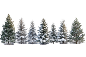 Snow-covered trees create a serene winter landscape in a peaceful forest setting png
