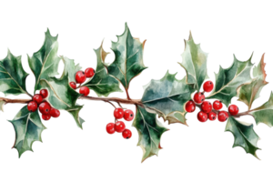 Beautiful holly branch with vibrant red berries and green leaves against a white background png