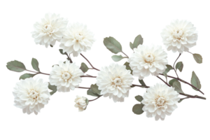Beautiful white flowers with green leaves arranged delicately on a branch in a modern floral design setting png