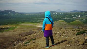 Unrecognizable Tourist Hiking In Mountains Alone, Back View Of Person In Warm Activewear video
