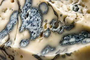 Close-up of Blue Cheese with Veins and Holes photo