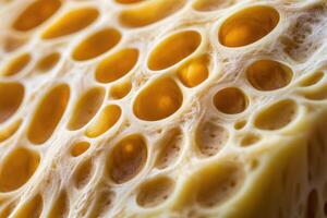 Close-up of the Textured Surface of a Yellow Sponge photo
