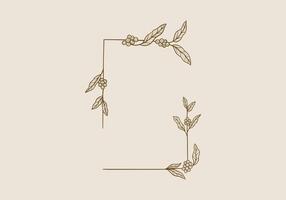 Coffee plant branch with leaves rectangle frame hand drawn decoration vector