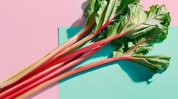 Vibrant rhubarb stalks on a colorful background photo