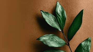 close up of green leaves against a warm brown background photo