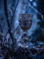 Enchanted Chalice in Mystical Forest photo