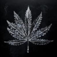 Frozen Leaf in Monochrome photo