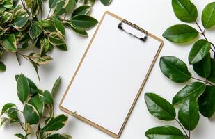 Blank clipboard surrounded by green leaves photo