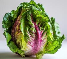 Close up of fresh green and red lettuce leaves photo