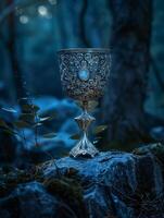 Enchanted Chalice in Mystical Forest photo