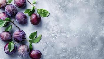 Fresh plums with leaves on a gray background photo