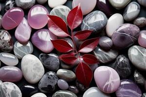 Vibrant Leaves and Polished Stones photo