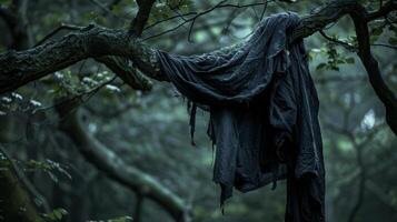 Mysterious fabric draped over a tree branch in a foggy forest photo