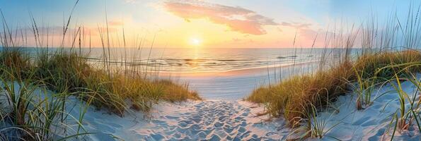 Serene Beach Sunrise with Sandy Path Through Dunes photo