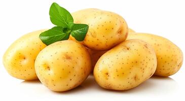 Fresh potatoes with green leaves isolated on white background photo