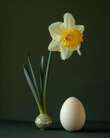 Elegant daffodil with egg on dark background symbolizing spring photo