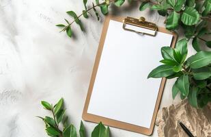 Blank clipboard with green leaves on a white textured background photo