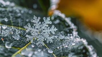 Exquisite snowflake crystal on a leaf with dew drops photo