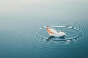 Serene feather floating on calm water photo