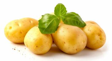 Fresh potatoes with basil on a white background photo