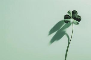 Single four leaf clover casting a shadow on a light green background photo