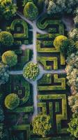 Aerial View of a Lush Green Garden Maze photo