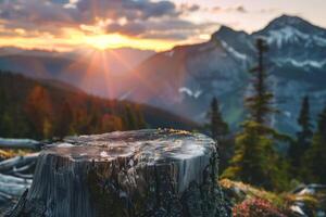 Sunrise over a mountain range with a close up of a tree stump in the foreground photo