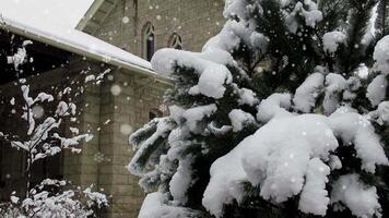 a snow covered pine tree in front of a church video