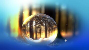 a snow ball with a forest in the middle video