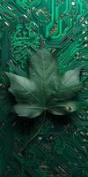 Green leaf on a circuit board representing technology and nature photo
