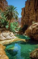 Oasis with Palm Trees and Clear Water in a Desert Canyon photo