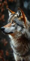 Majestic wolf profile against a blurred background photo