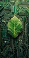 Green leaf on a circuit board representing eco friendly technology photo