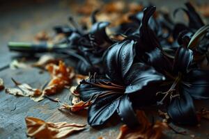 Elegant black lilies with scattered petals on a rustic surface photo