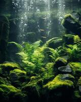 Tranquil underwater scene with fish and lush greenery photo