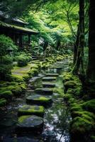 Tranquil Path Through a Mossy Japanese Garden photo