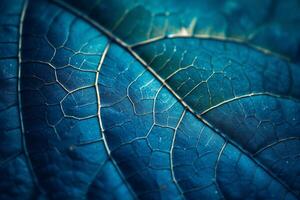 Close up of Blue Leaf Texture photo