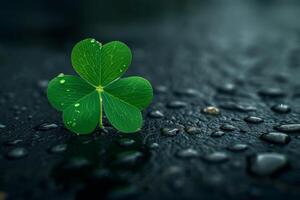 Single clover leaf with dew drops on dark background photo