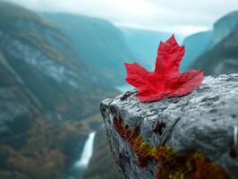 Red maple leaf on a rocky ledge overlooking a misty valley photo