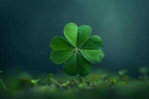 Close up of a Four Leaf Clover Against a Dark Background photo