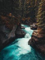 Serene River Flowing Through a Forested Canyon photo