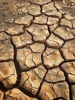 Cracked Earth Texture in a Dry Desert Landscape photo