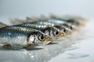 Fresh fish on a reflective surface photo