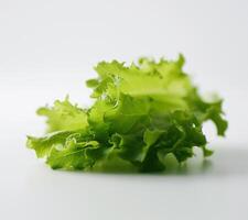 a close up of a leafy green vegetable photo