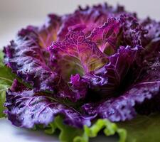 a close up of a purple leafy vegetable photo