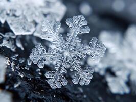 a close up of a snowflake photo
