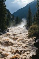 a river flowing through a forest photo