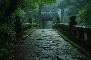 a stone bridge with moss covered railings and trees photo