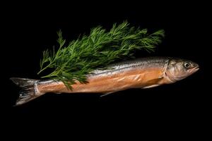 a fish with a leaf on it photo